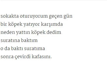 Yunus Günçe'nin Şiir Kitabını Tİ'ye Aldılar galerisi resim 15